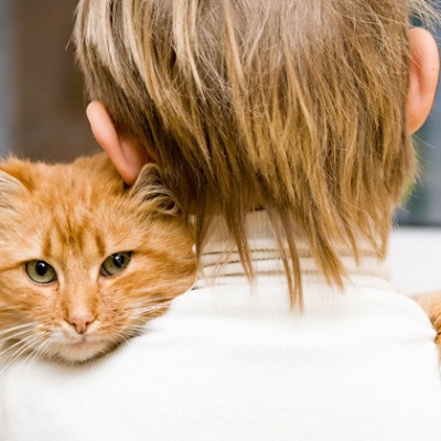 Kako mačka pokazuje ljubav i privrženost?