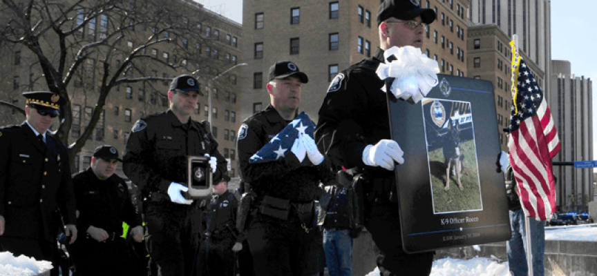 Pitsburg odao počast policijskom nemačkom ovčaru Roku (VIDEO)