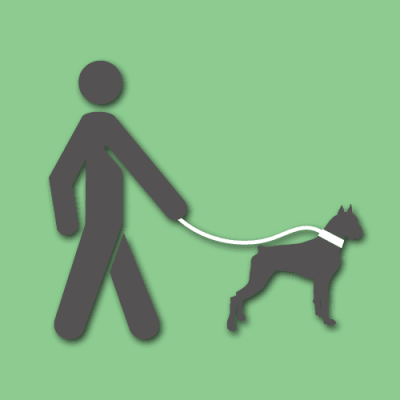Kako se ponašaju odgovorni vlasnici pasa?