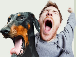 pas i vlasnik zevanje